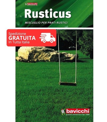 Seme per prato rusticus kg - rusticus,
